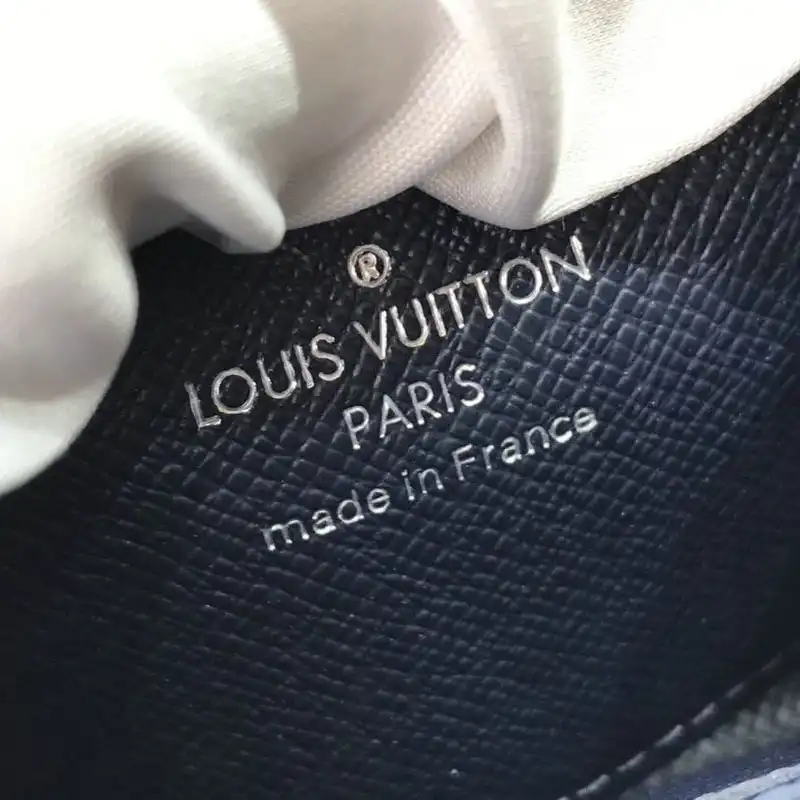 LV Bags 2010B570054