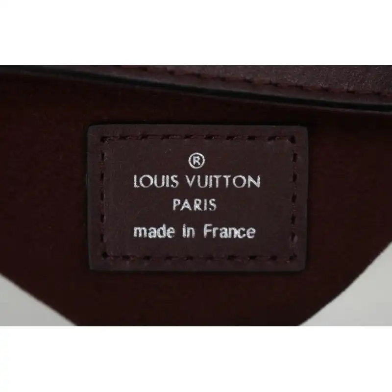 Official Brother Sam LV Bags 205B570011