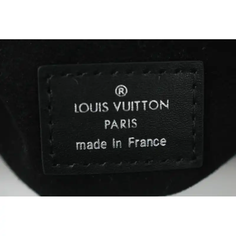 LV Bags 205B570012