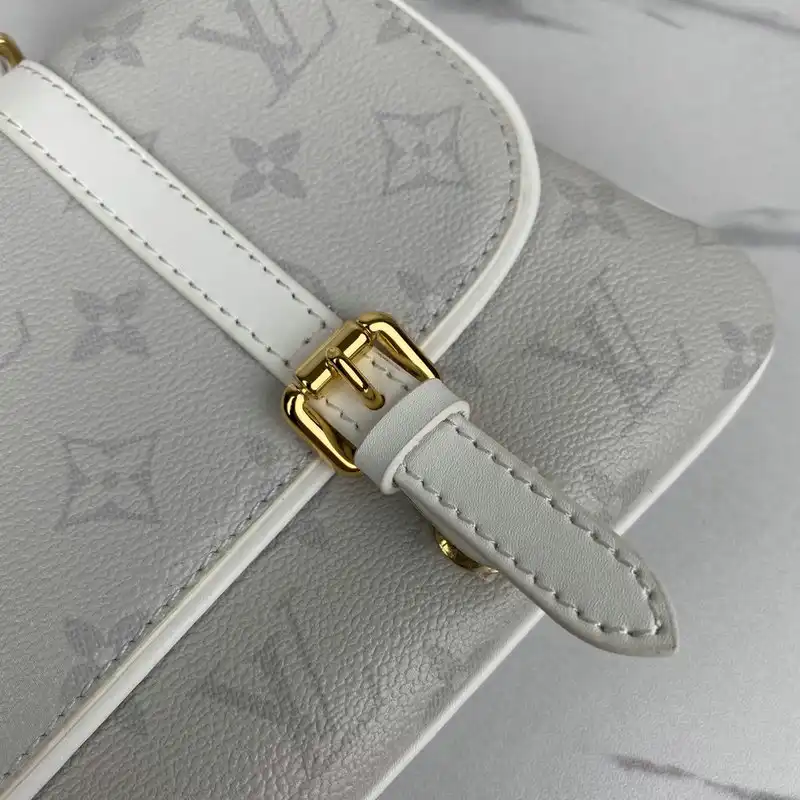 LV Bags 206B570084