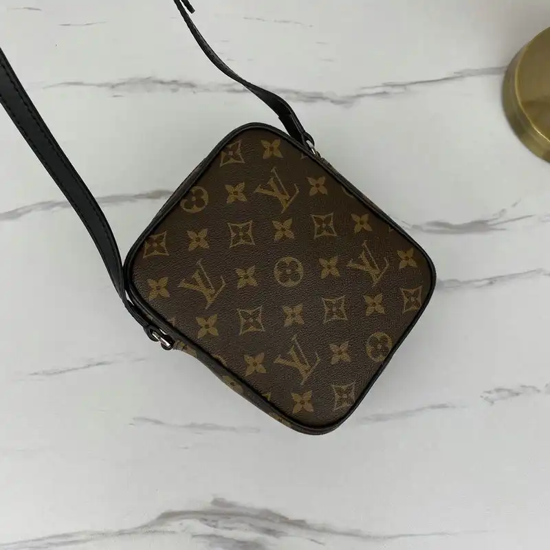 LV Bags 206B570089