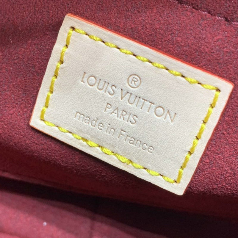 FASH LOUIS VUITTON Bags 206FY0071