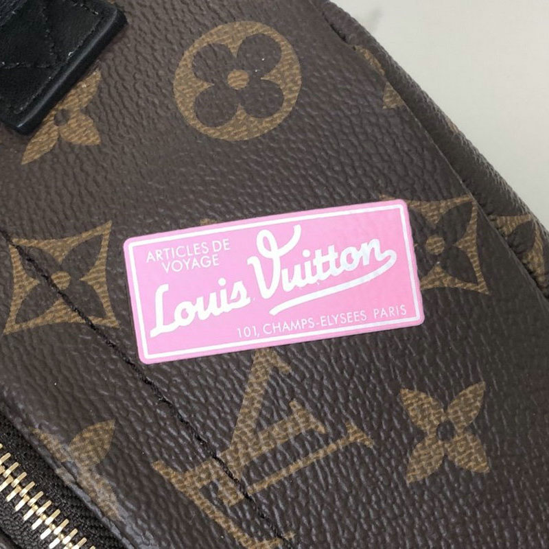 FASH LOUIS VUITTON Bags 207B570036