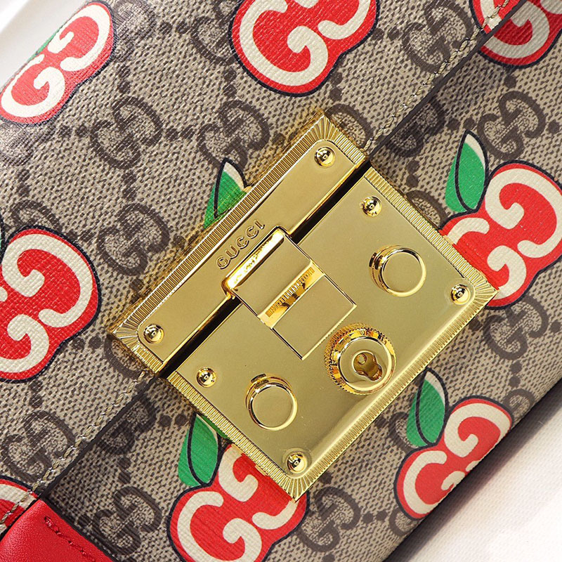 FASH Gucci Bags 208B570136