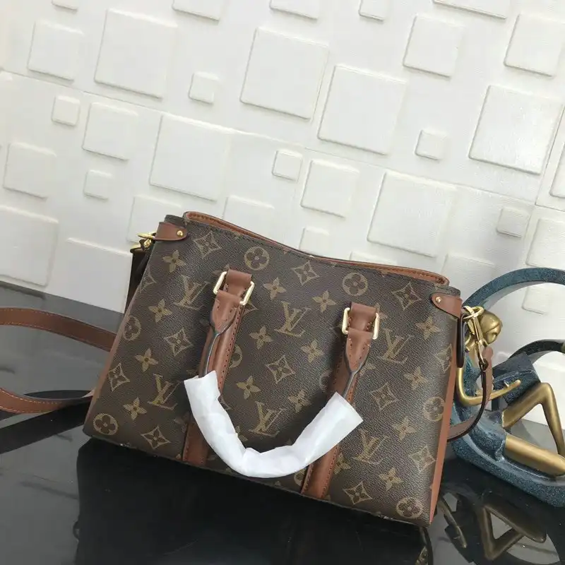 Official Brother Sam LV Bags 20B570251