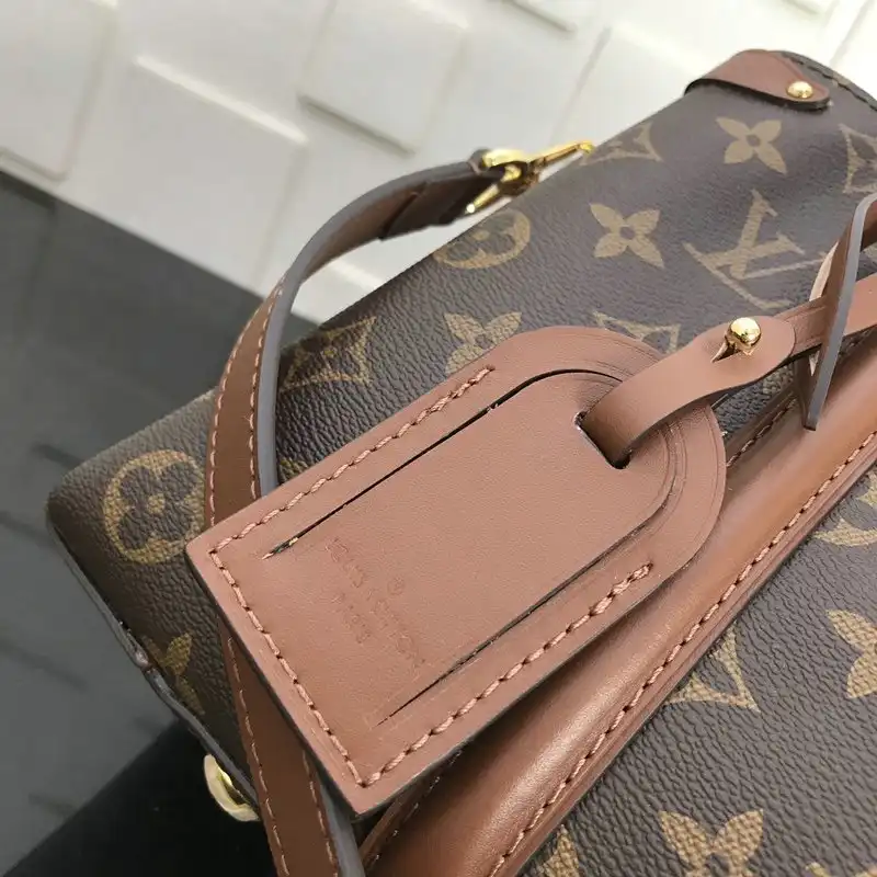 Official Brother Sam LV Bags 20B570251