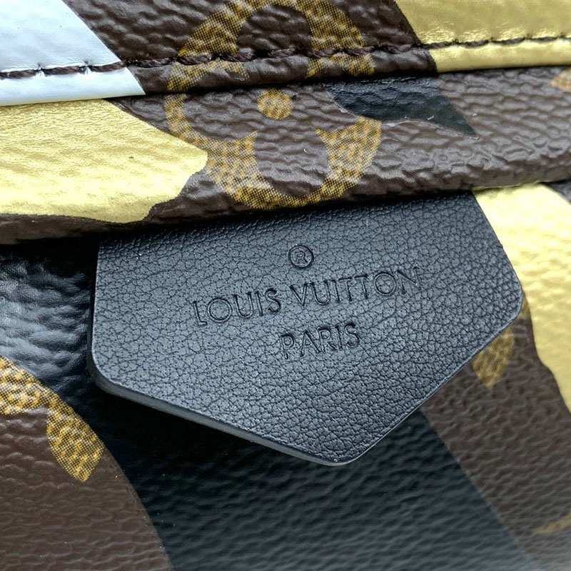 FASH LOUIS VUITTON Bags 20B570269