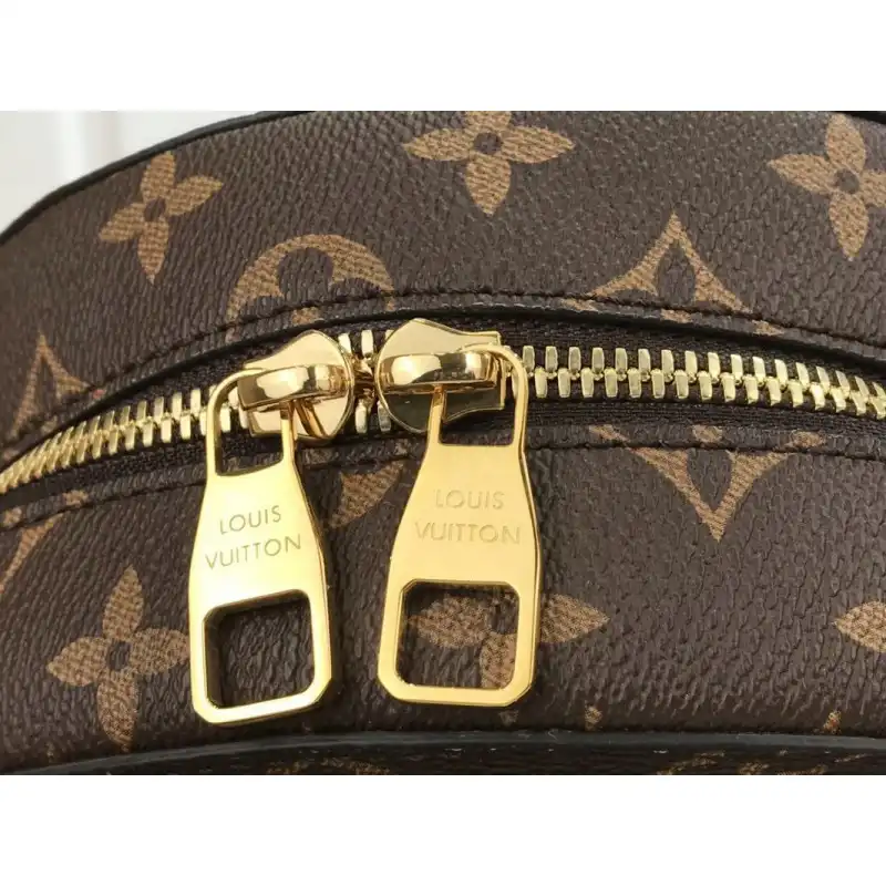 Official Brother Sam LV Bags 205fy0022