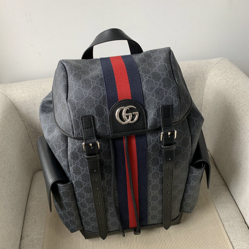 FASH Gucci Bags 2104DJ0133