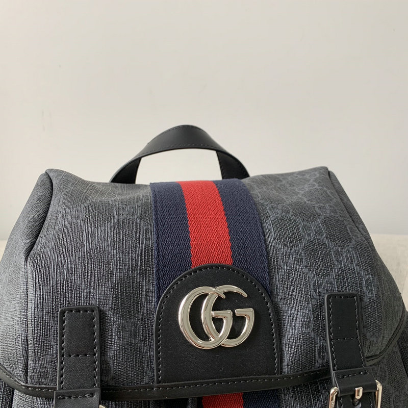 FASH Gucci Bags 2104DJ0133