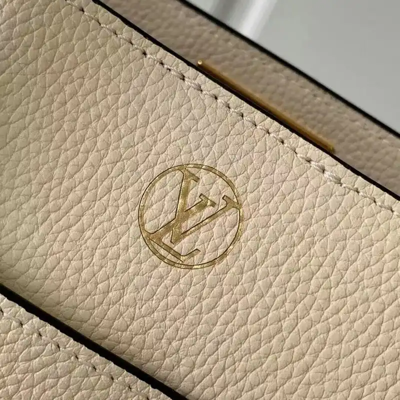 LV Bag 2109YA0212