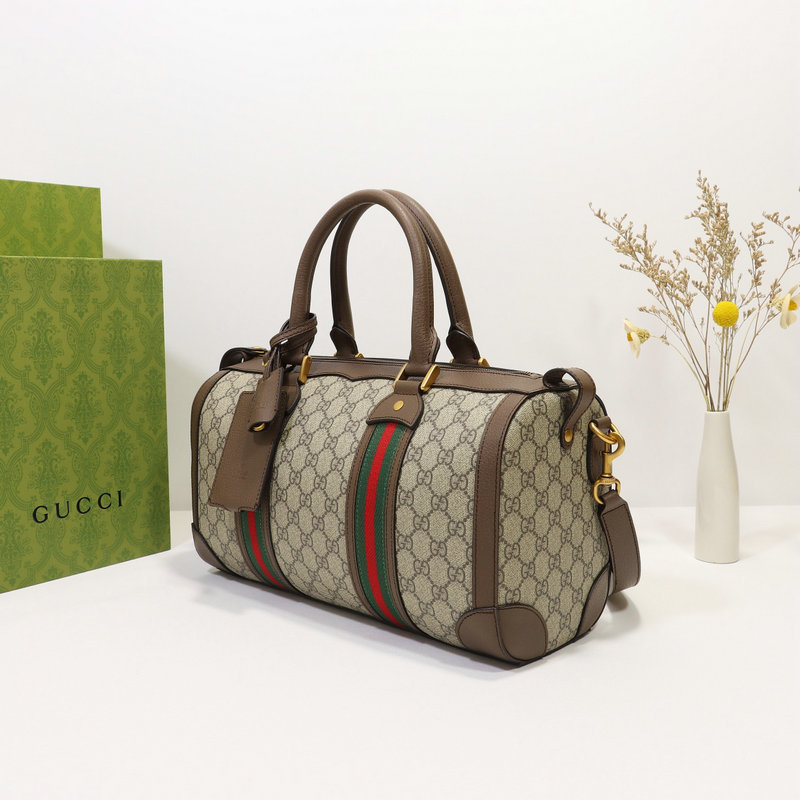 Hot Gucci Bags 2110DJ0073