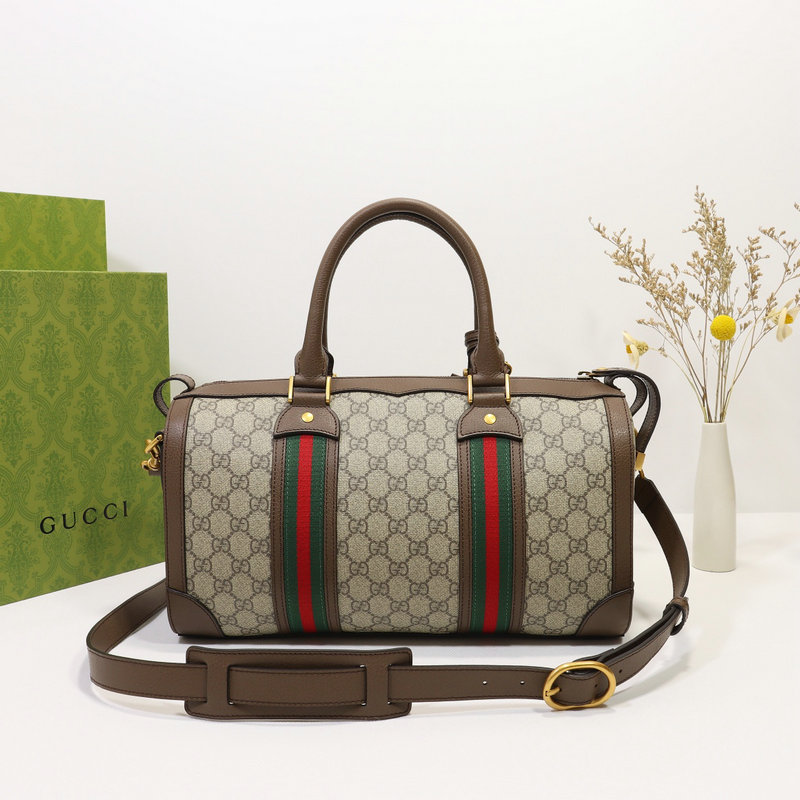 Hot Gucci Bags 2110DJ0073