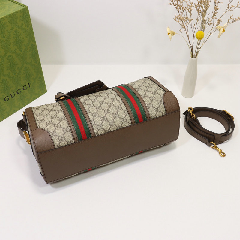 Hot Gucci Bags 2110DJ0073