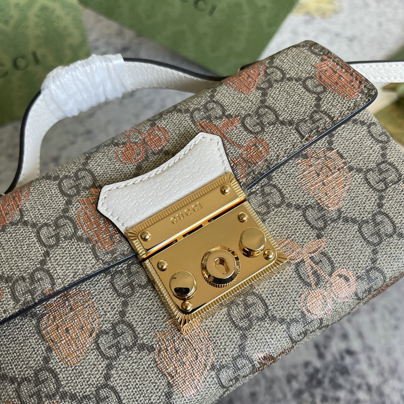 FASH Gucci Bag 2201DJ0012