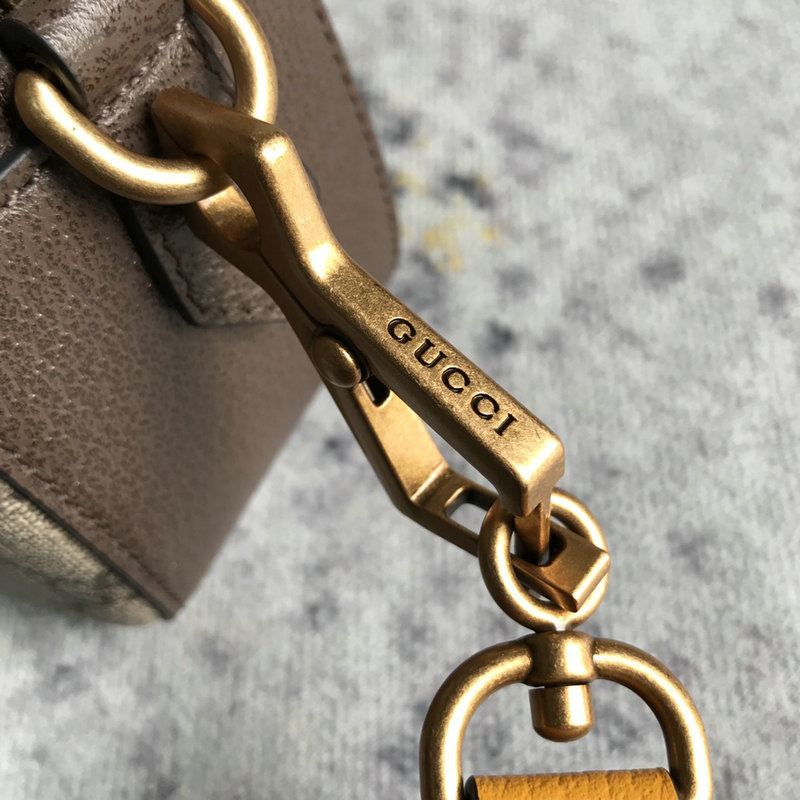 FASH Gucci Bag 2201DJ0039