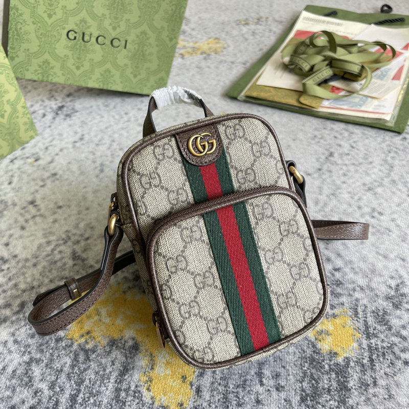 Faux Gucci Bag 2201DJ0044