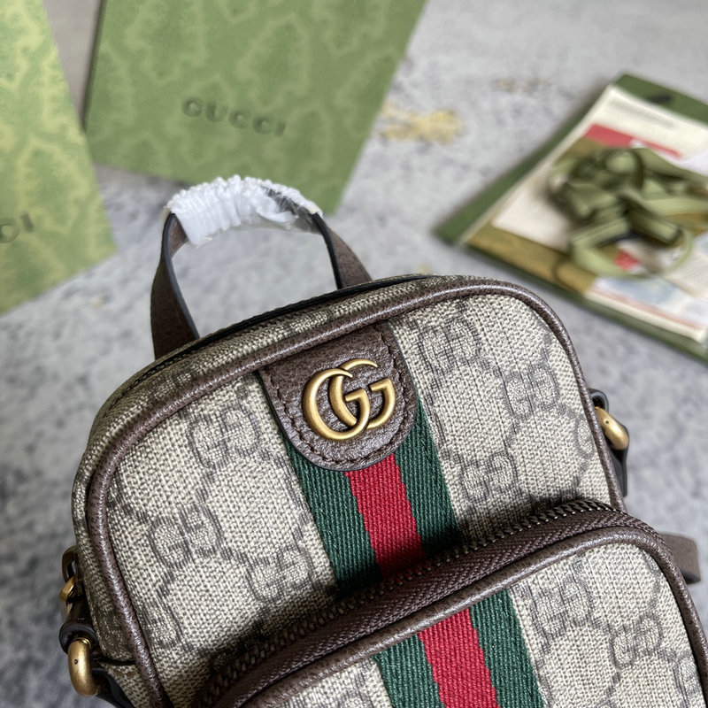 Faux Gucci Bag 2201DJ0044