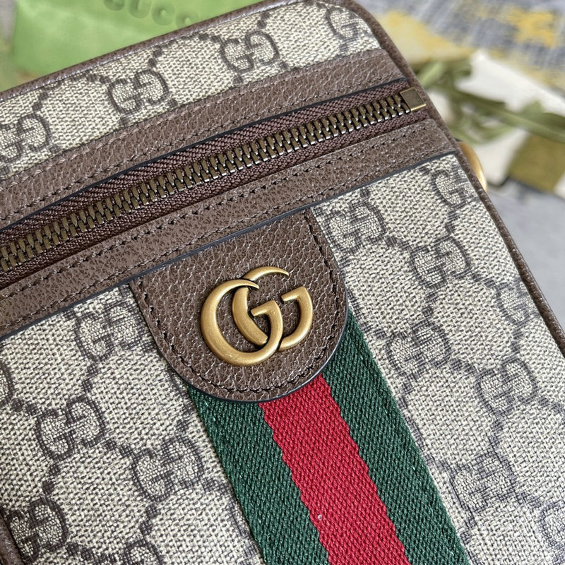 FASH Gucci Bag 2201DJ0045