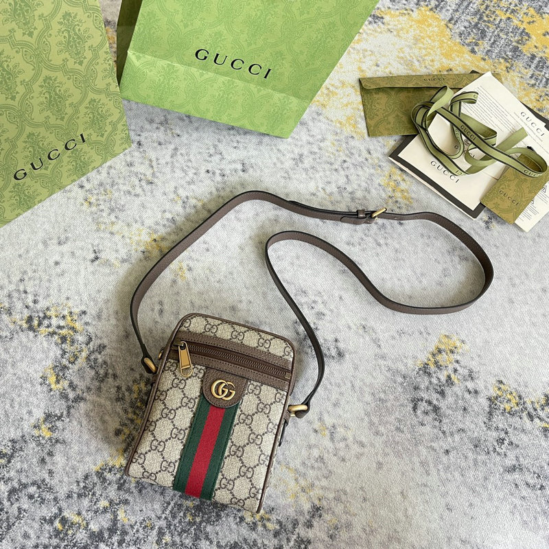 FASH Gucci Bag 2201DJ0045