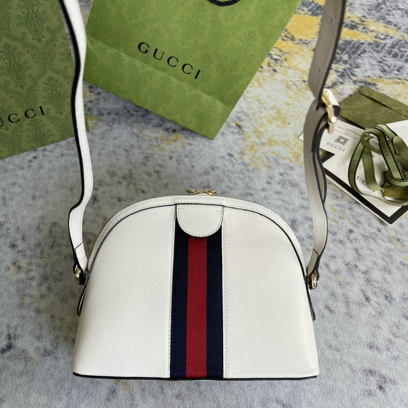 FASH Gucci Bag 2201DJ0049