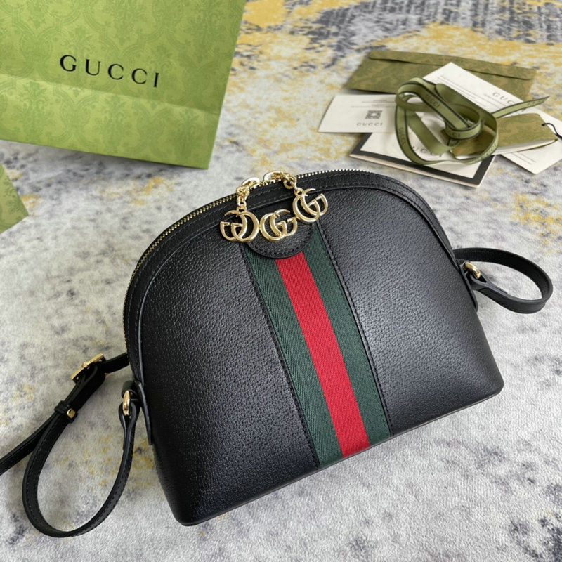 FASH Gucci Bag 2201DJ0050