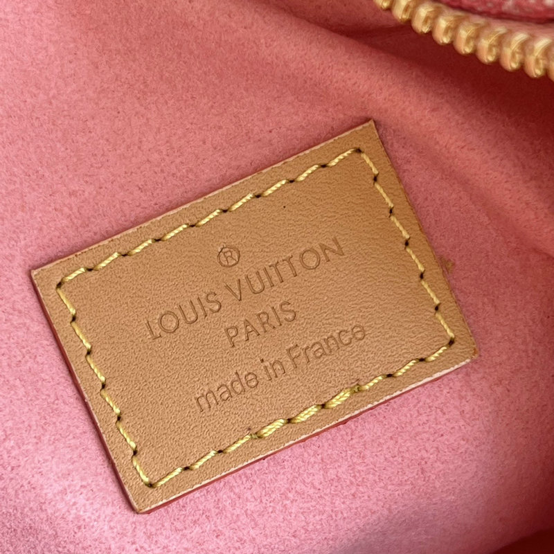 FASH LOUIS VUITTON Bag 2201YA0007