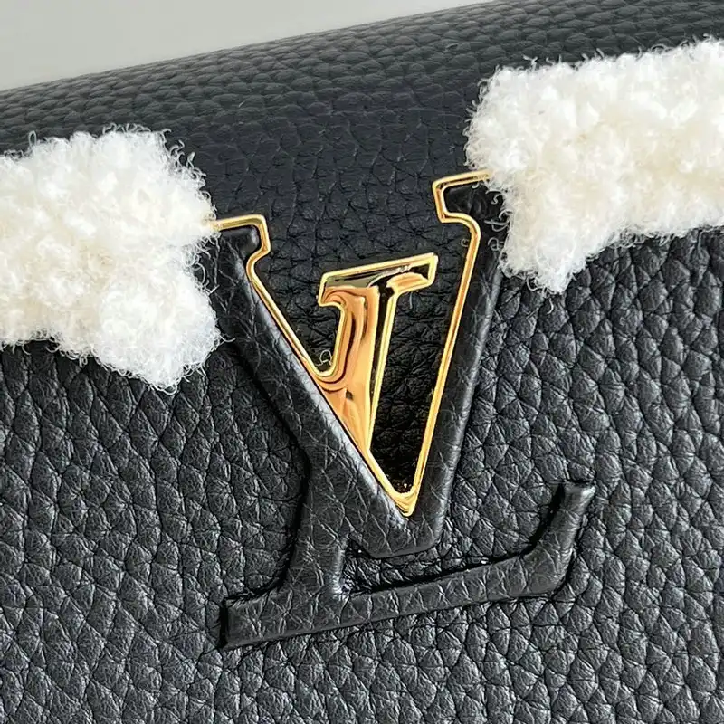 LV Bag 2201YA0010