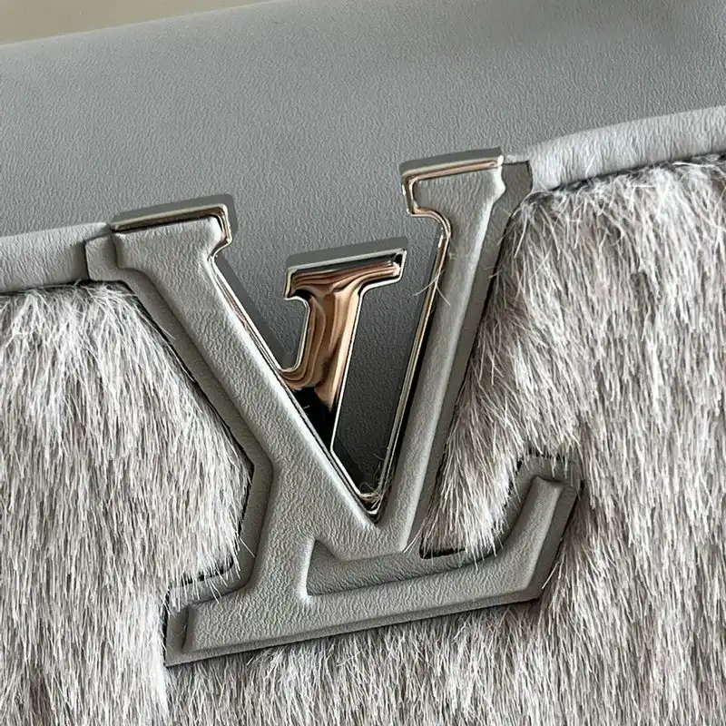 LV Bag 2201YA0014