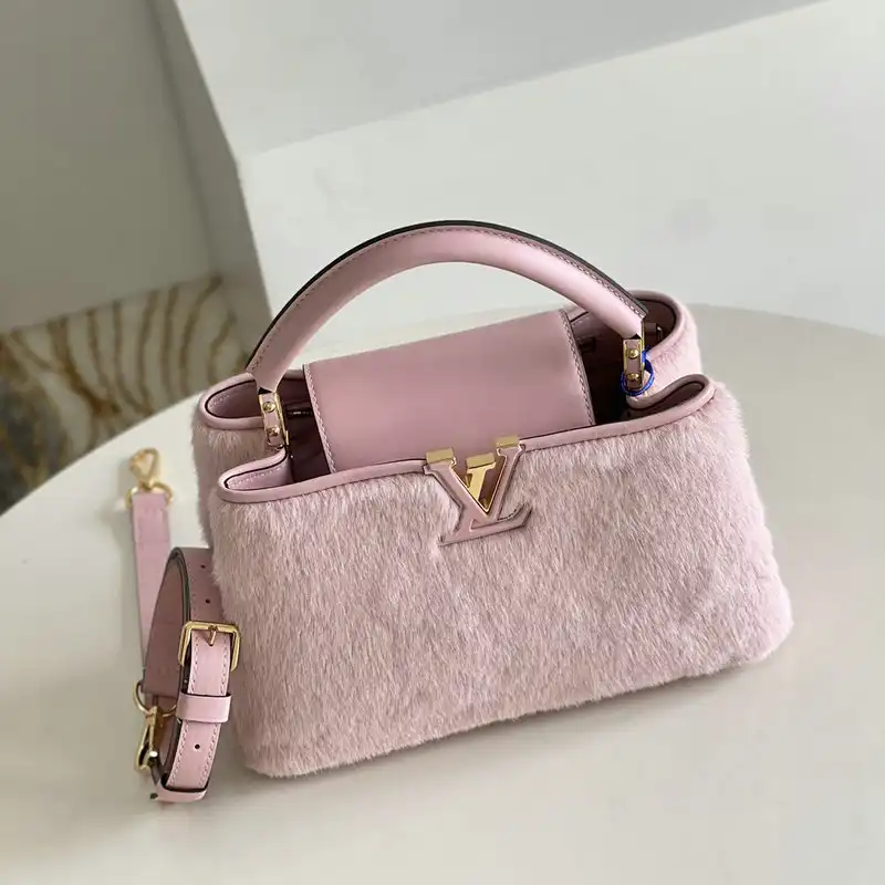 LV Bag 2201YA0015