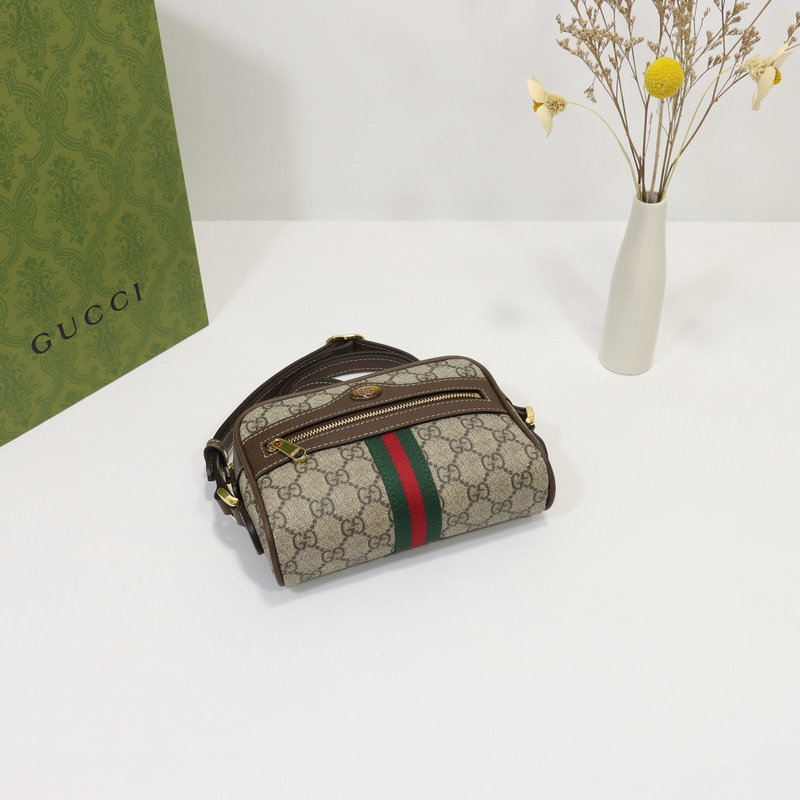 FASH Gucci Bag 2204DJ0041