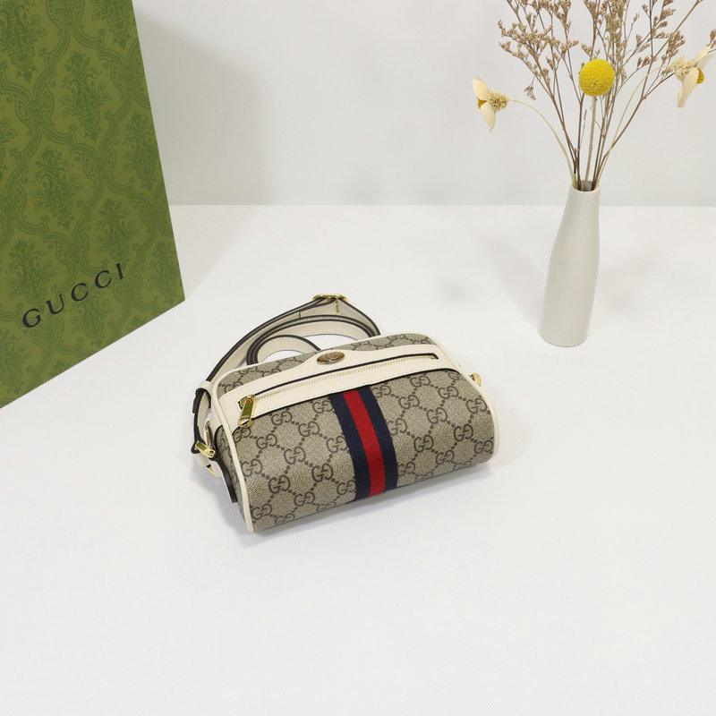 FASH Gucci Bag 2204DJ0042