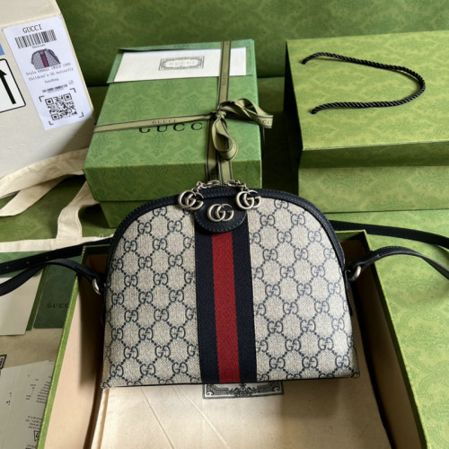 FASH Gucci Bag 2204YA0061