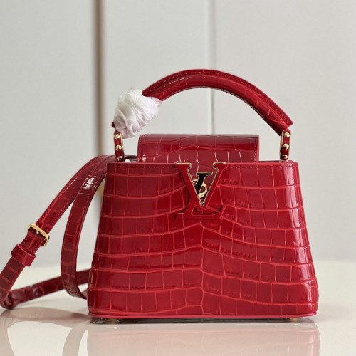 FASH LOUIS VUITTON Bag 2204YA0079