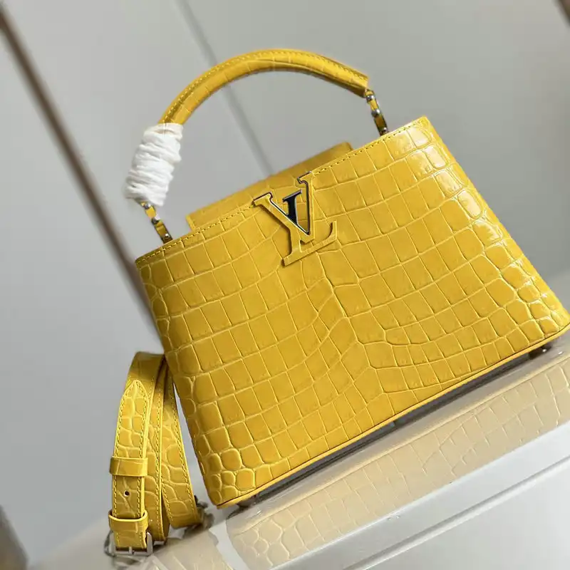 LV Bag 2204YA0080