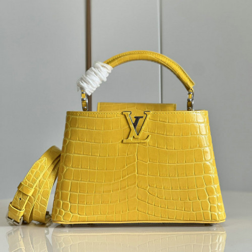 FASH LOUIS VUITTON Bag 2204YA0080