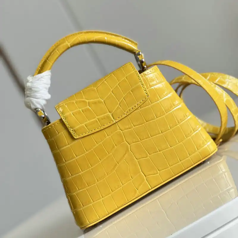 LV Bag 2204YA0081