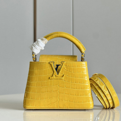 FASH LOUIS VUITTON Bag 2204YA0081