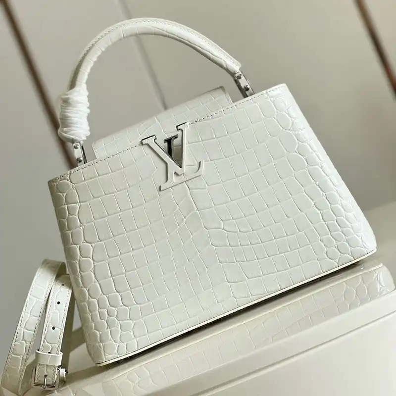 LV Bag 2204YA0085