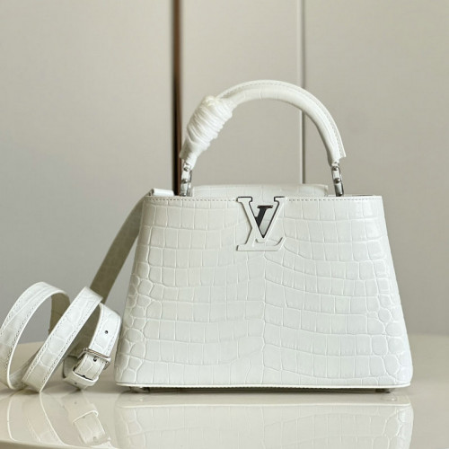 FASH LOUIS VUITTON Bag 2204YA0086