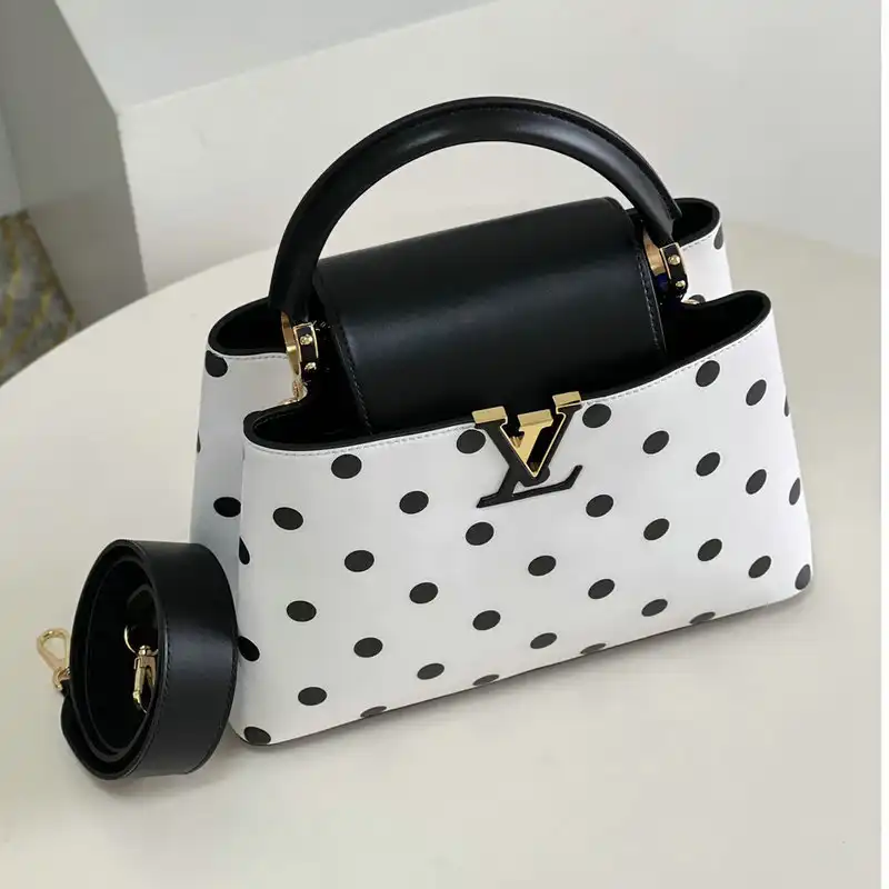 LV Bag 2204YA0093