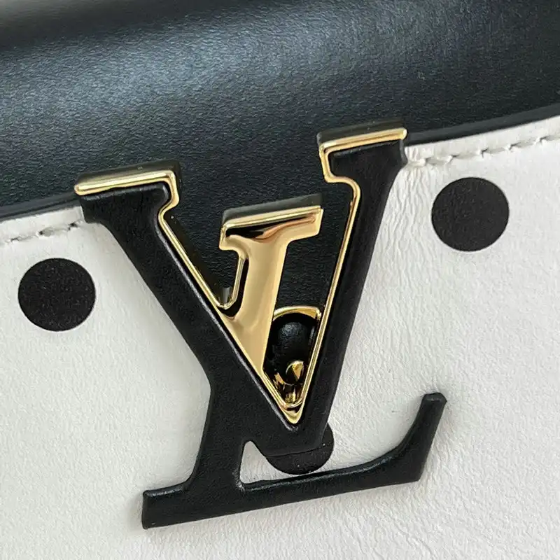 LV Bag 2204YA0095