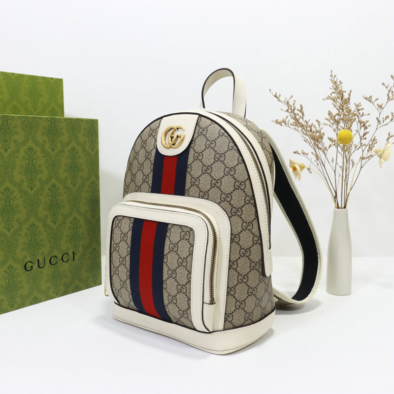 FASH Gucci Bag 2205DJ0009