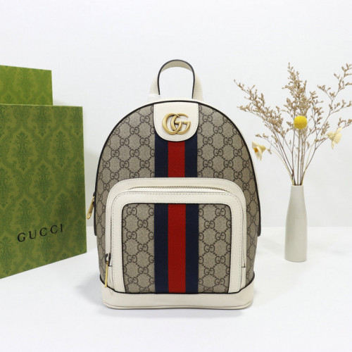 FASH Gucci Bag 2205DJ0009