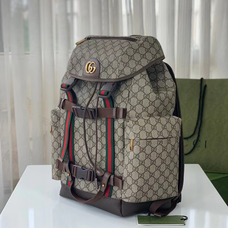 Faux Gucci Bag 2205HT0007