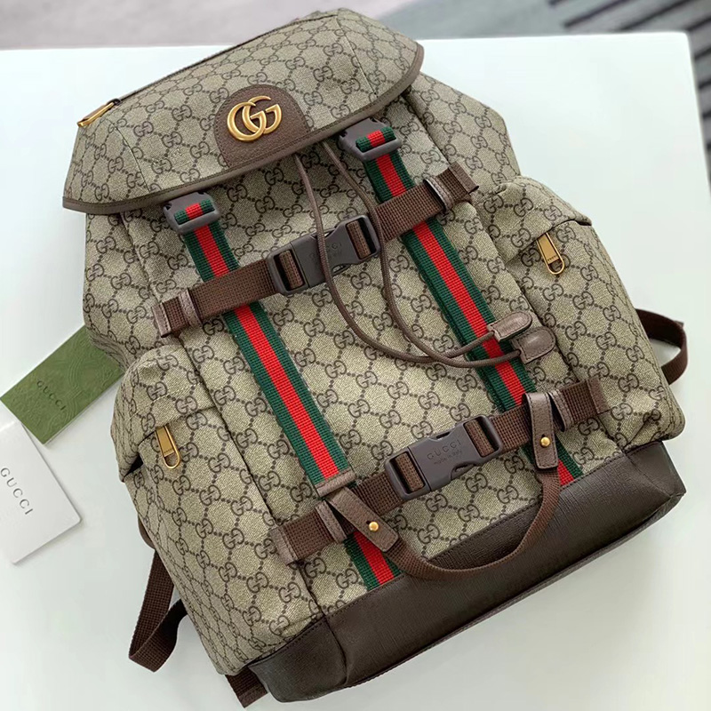 Faux Gucci Bag 2205HT0007