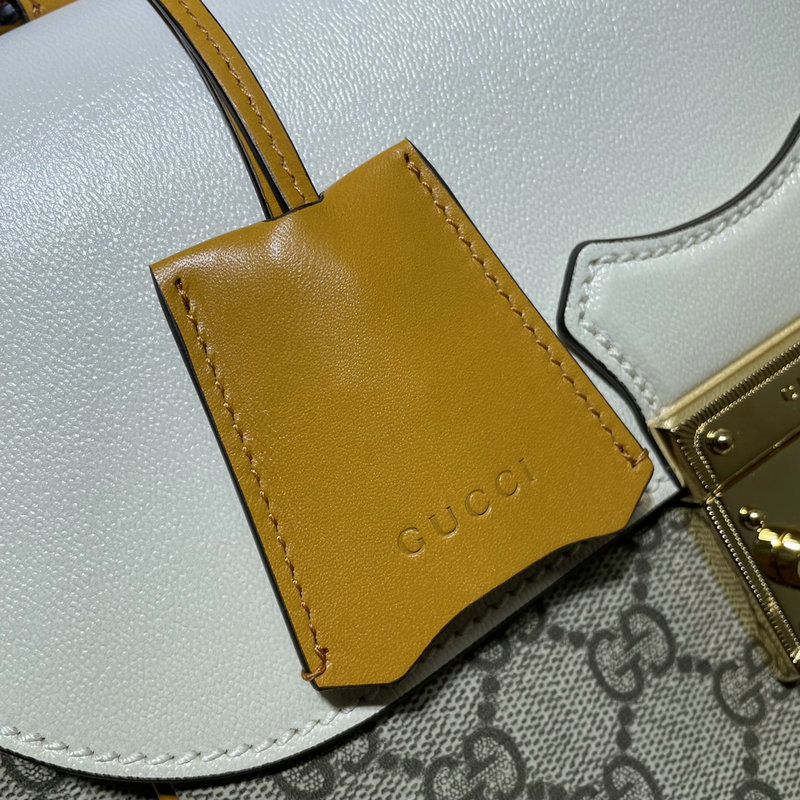 FASH Gucci Bag 2205YA0020