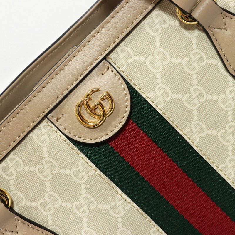 FASH Gucci Bag 2206DJ0045