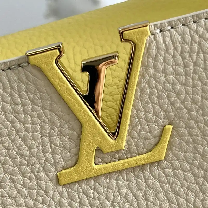 LV Bag 2206YA0006