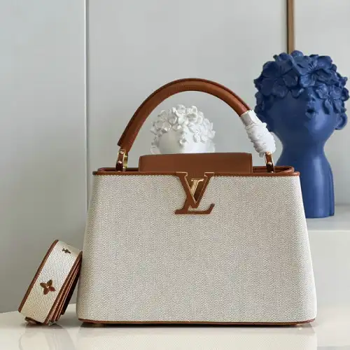 LV Bag 2207YA0091